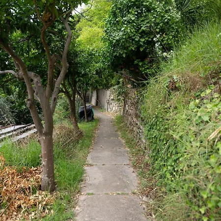 Daire Blanche Menton