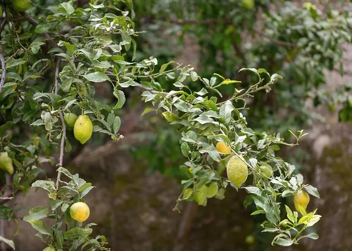 Blanche アパート